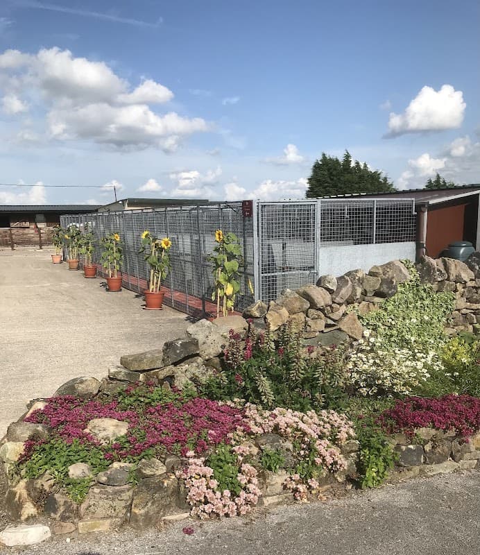 Mosside Kennels & Cattery - Vets in middleton cowling