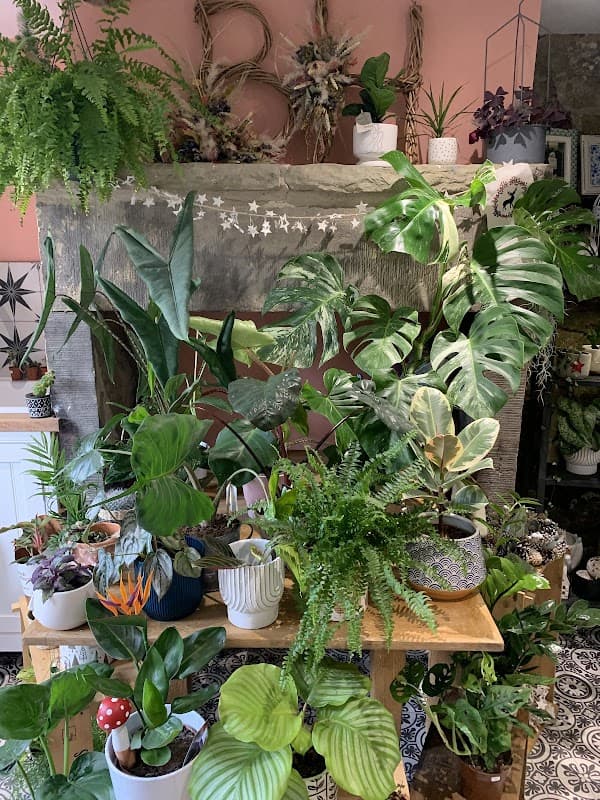 Lush greenery fills a wooden table, surrounded by various potted plants and a decorative fireplace in a cozy shop.