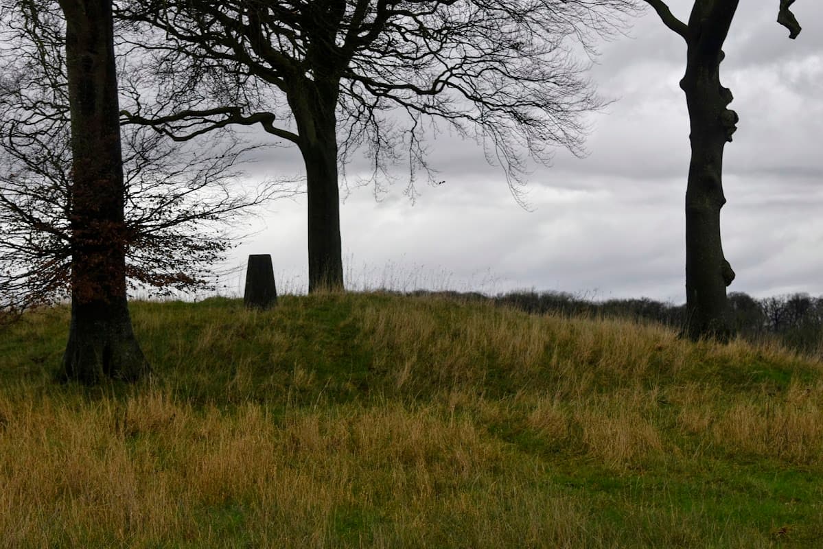 Trig point on a grassy hill surrounded by bare trees under a cloudy sky in Millington, Yorkshire.