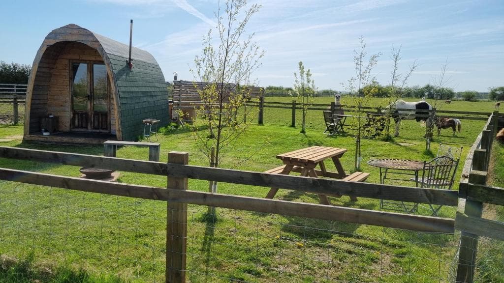 Skipbridge farm glamping - Campsite in york