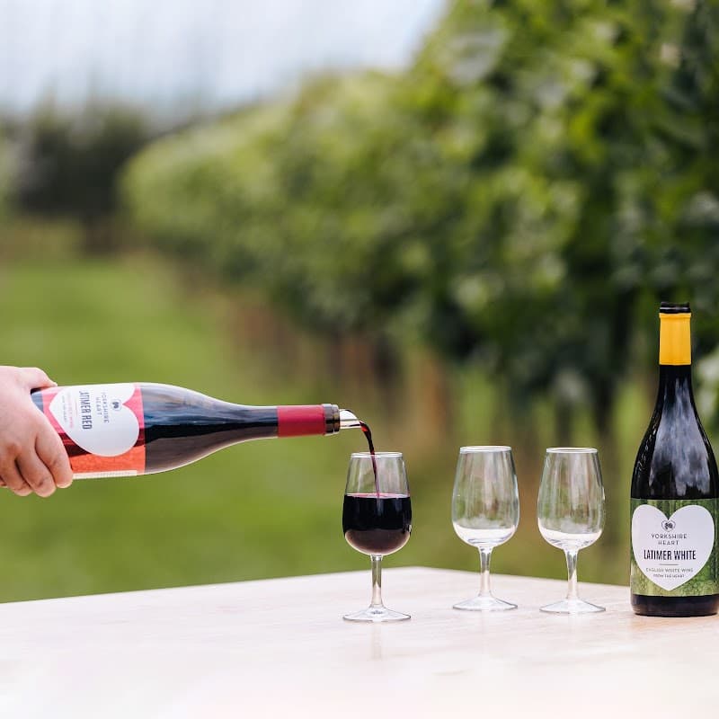 A hand pours red wine into a glass, with empty glasses and a wine bottle on a table near vineyard rows.