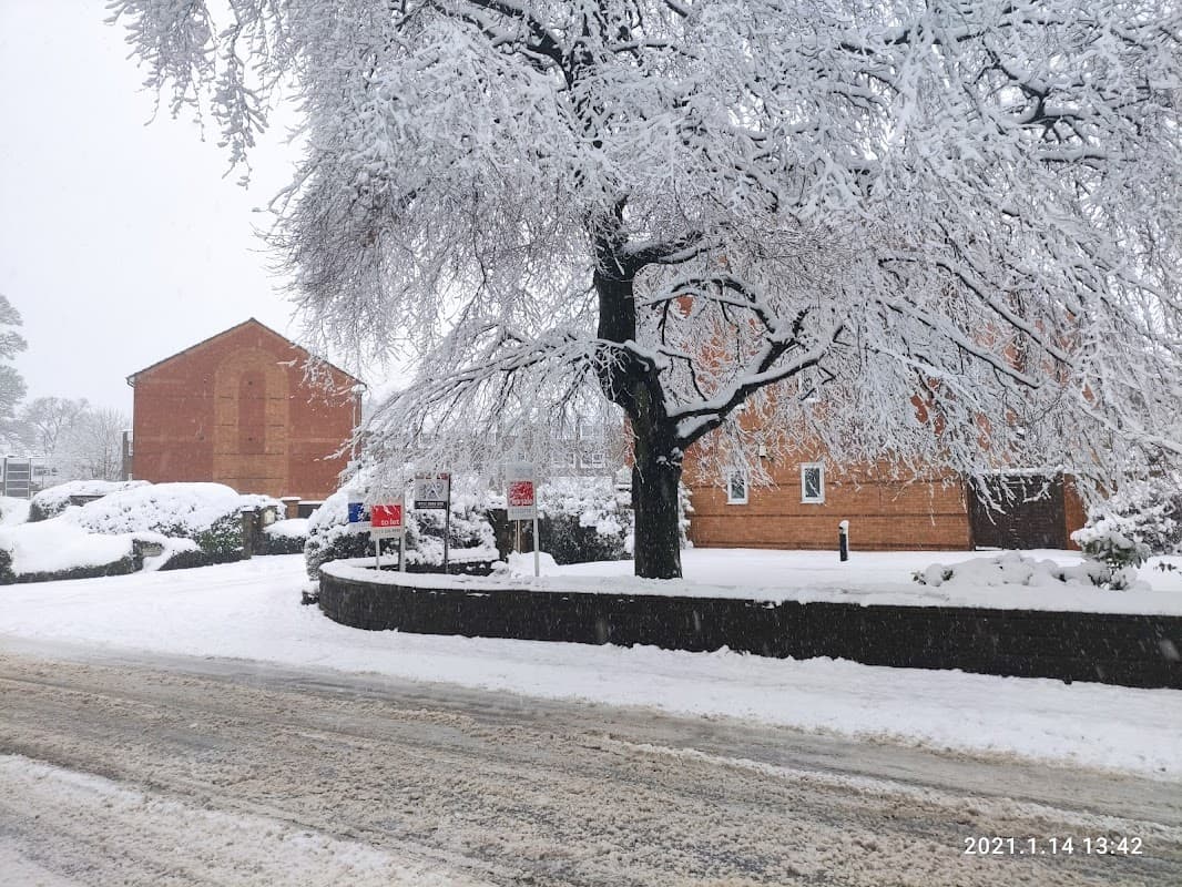 Tree Tops Community Centre - Community Centres in moortown