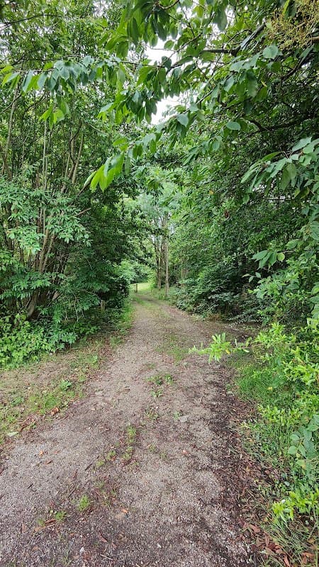 A narrow gravel path surrounded by lush greenery and trees, leading into a tranquil open space.