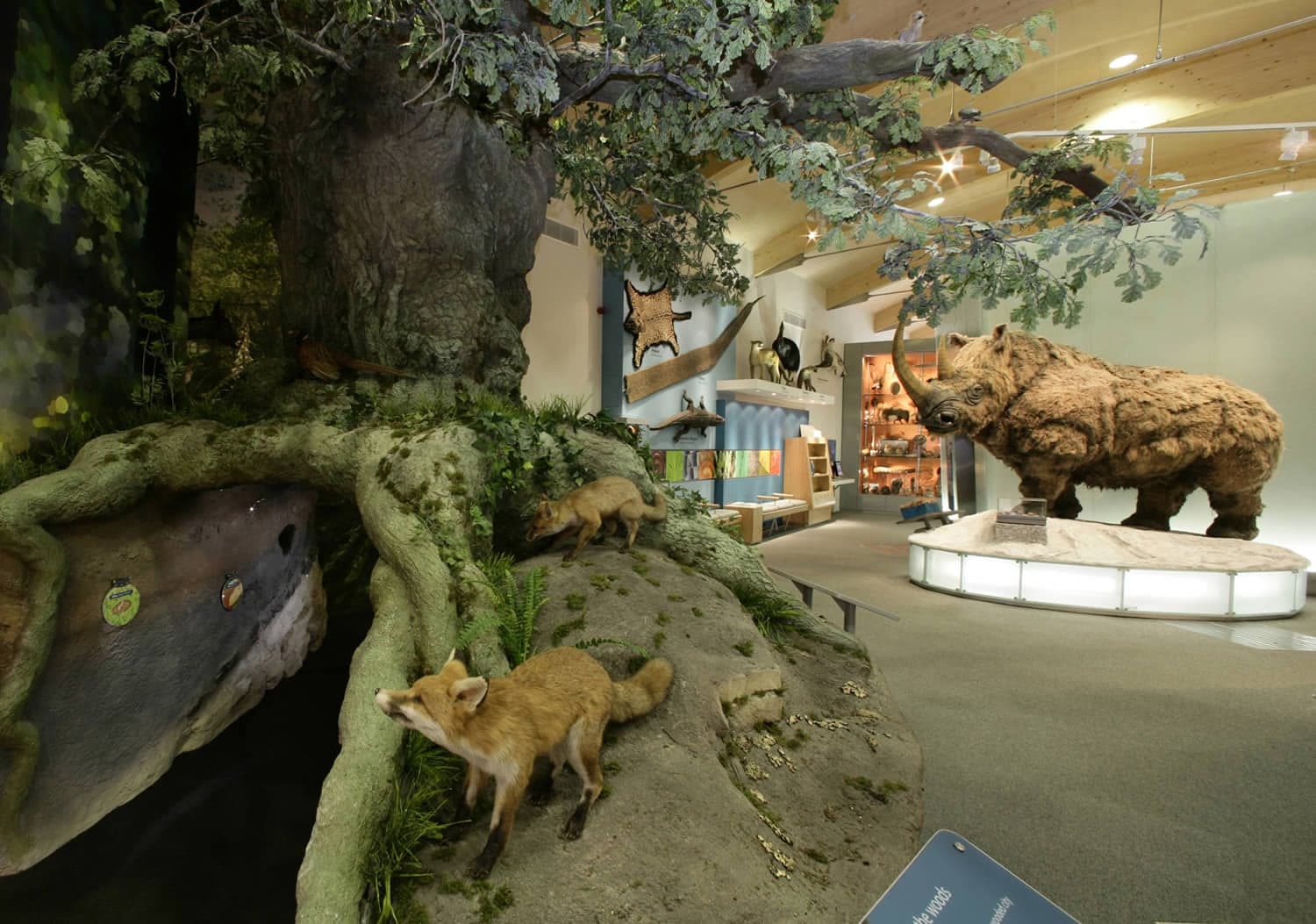 Museums Sheffield: Weston Park