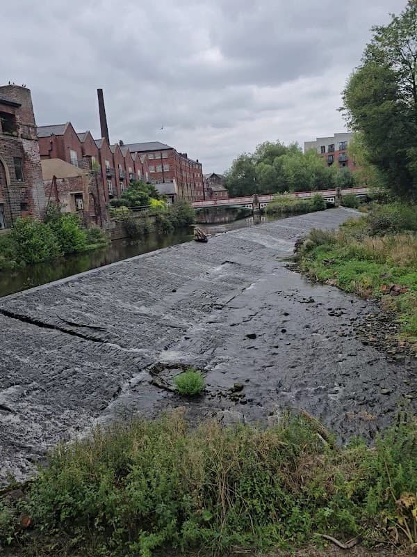 View of a riverbank with greenery, old brick buildings, and a cloudy sky in Neepsend, Yorkshire.