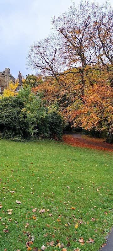Colorful autumn foliage surrounds a grassy area in Chelsea Park Playground, with trees shedding leaves.