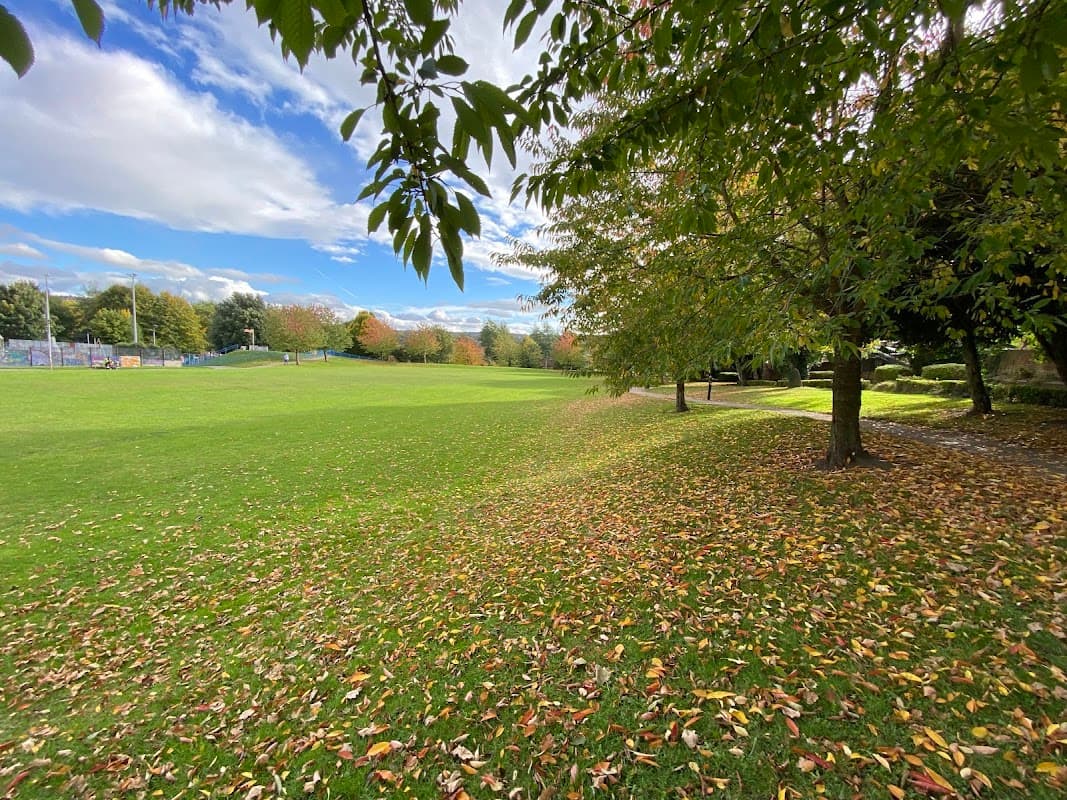 Lush green park with scattered autumn leaves, trees lining the edges, and a bright blue sky with clouds.