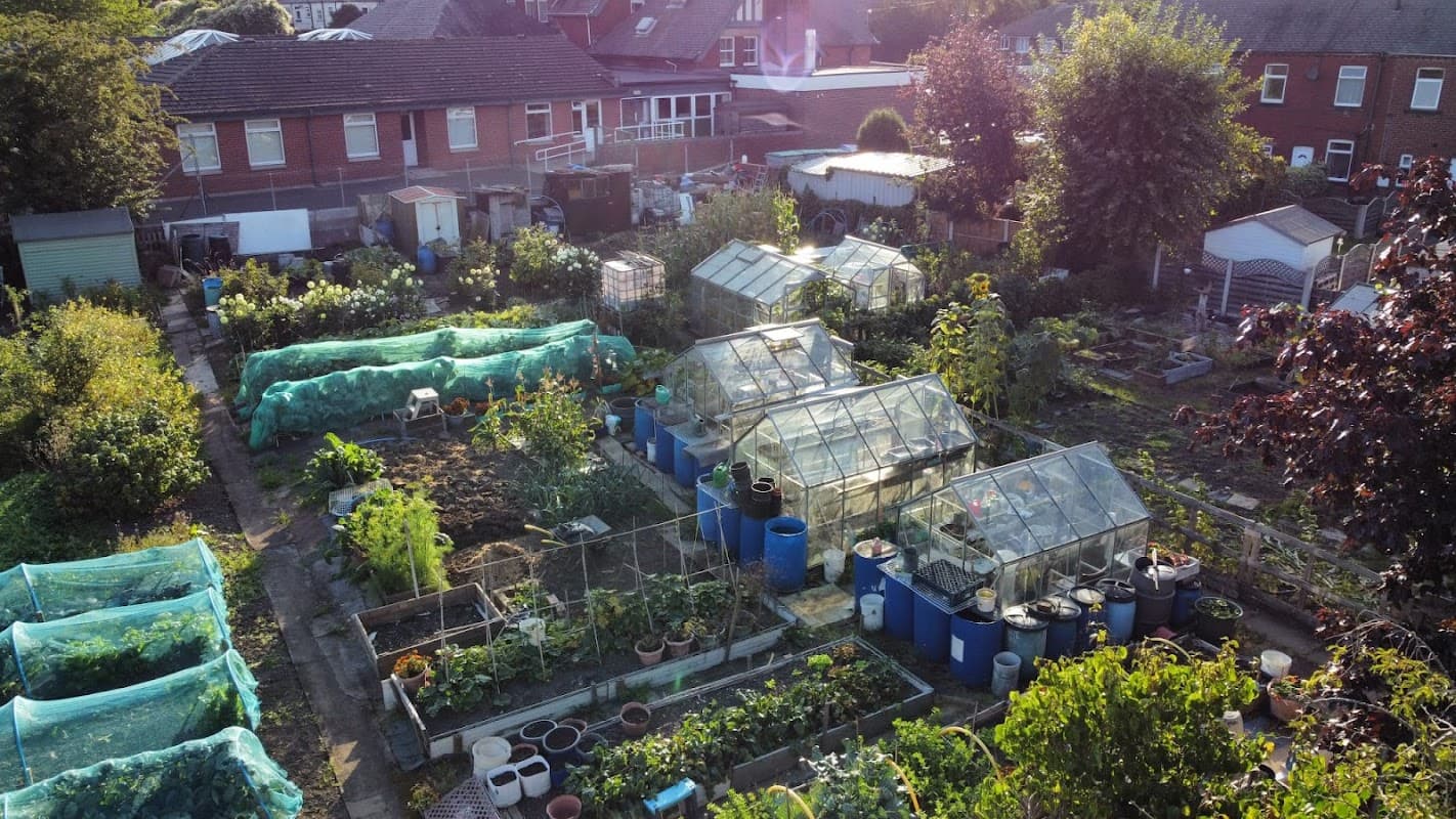 Lush allotments with greenhouses, vegetable patches, and garden beds surrounded by trees and residential buildings.