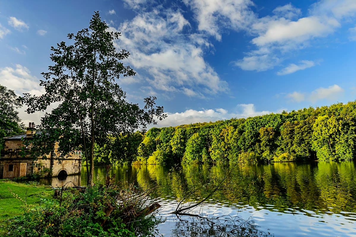 Serene lake surrounded by lush trees under a blue sky with clouds, reflecting on the water's surface.