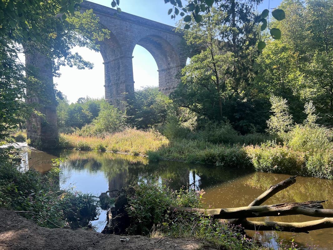 Nidd Gorge Viaduct rises above a tranquil river surrounded by lush greenery and wildflowers.