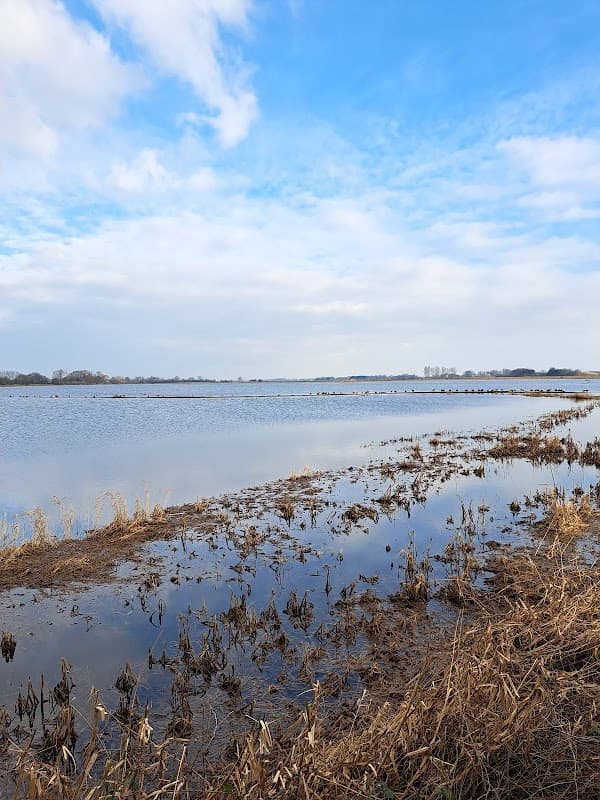 Serene waters reflecting a blue sky, bordered by marshy land and sparse vegetation at North Duffield Carrs.