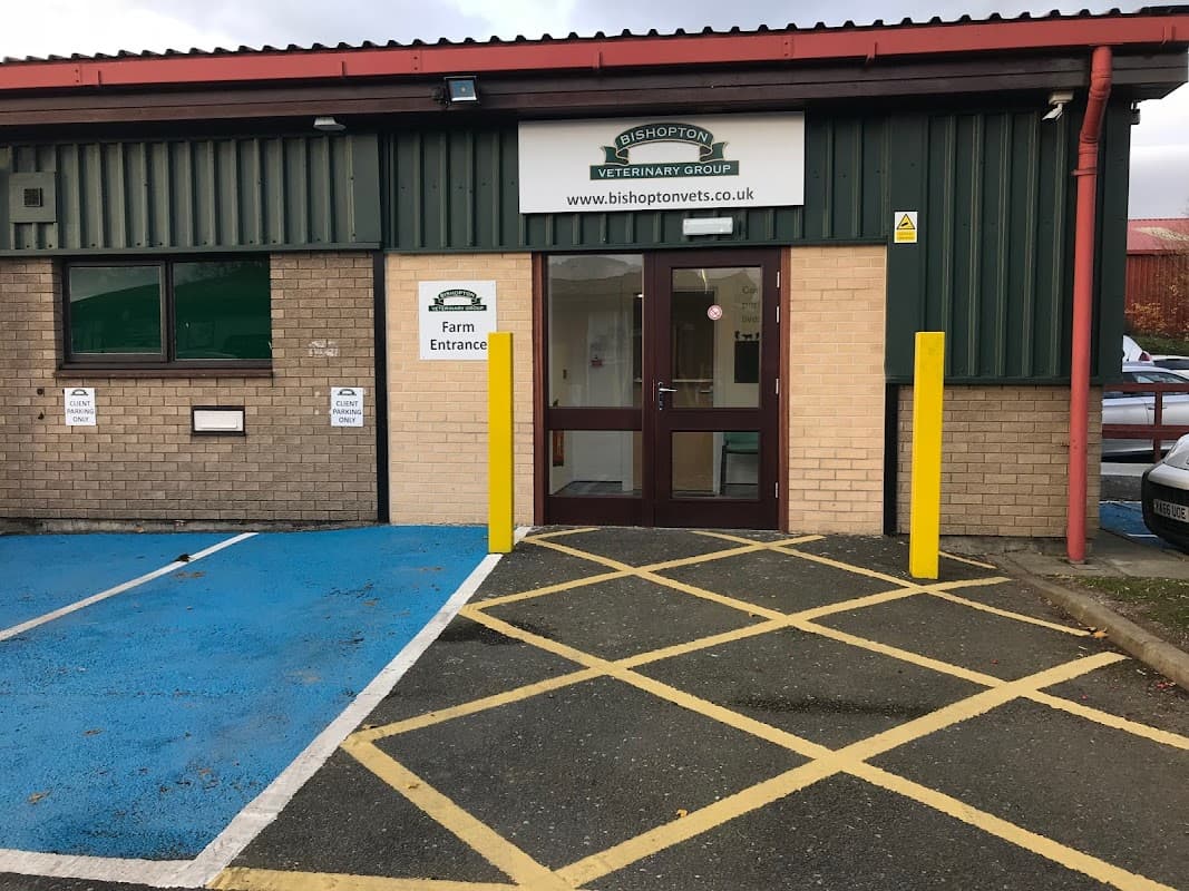 Bishopton Veterinary Group Northallerton - Vets in northallerton
