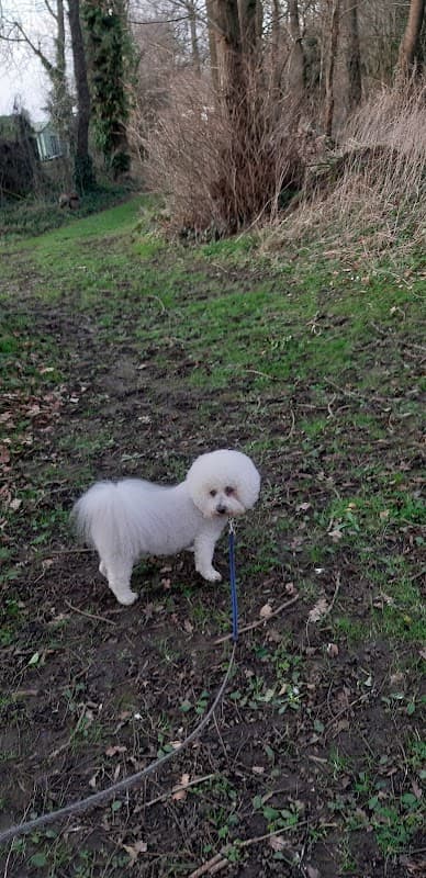 Mile House Veterinary Centre - Vets in northallerton