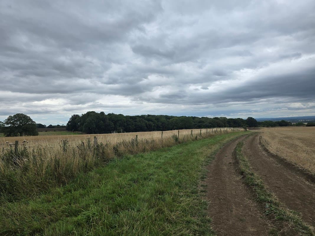 Target woods northallerton - Historic Site in northallerton