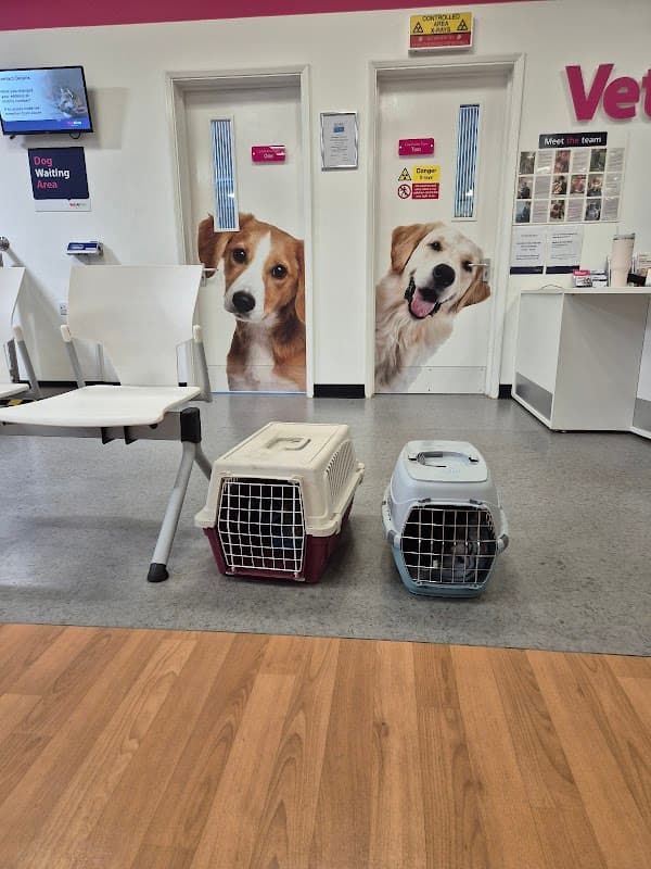 Vets4Pets - Northallerton - Vets in northallerton