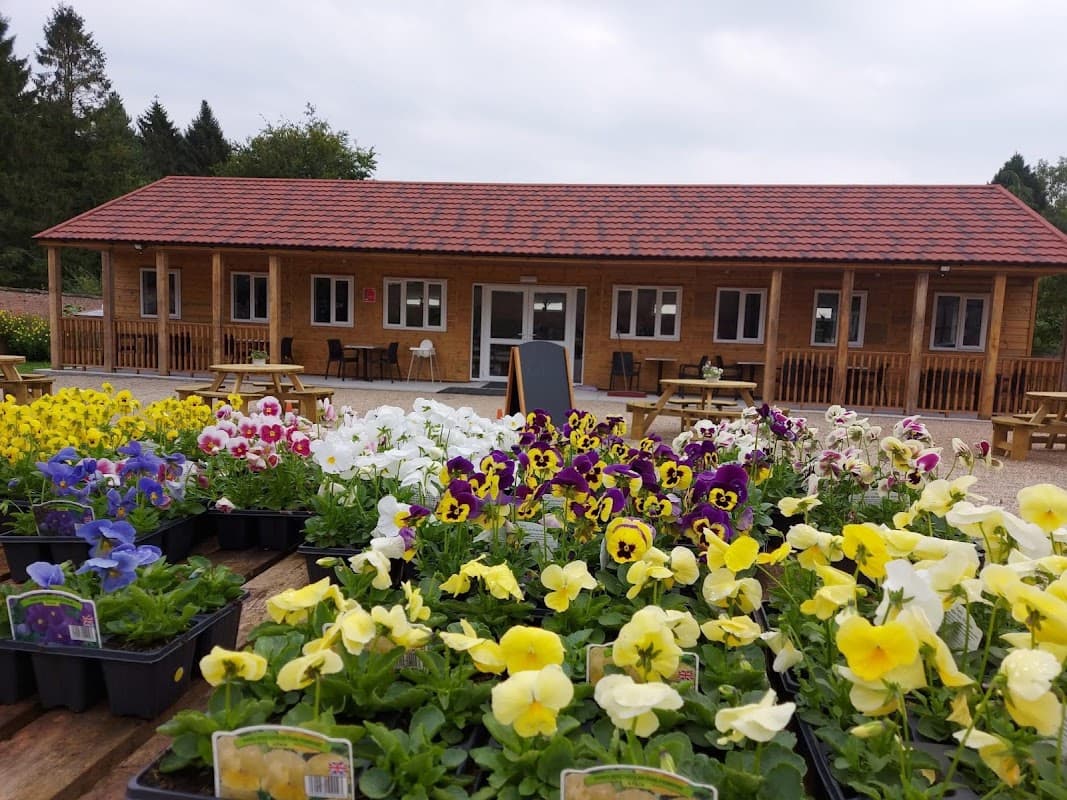 Ripon Community Link at Ripon Walled Garden - Garden in nunwick