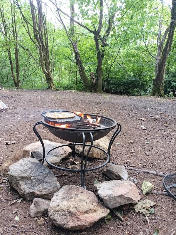 A fire pit surrounded by stones, with flames and cooking equipment, set in a wooded area with lush green trees.