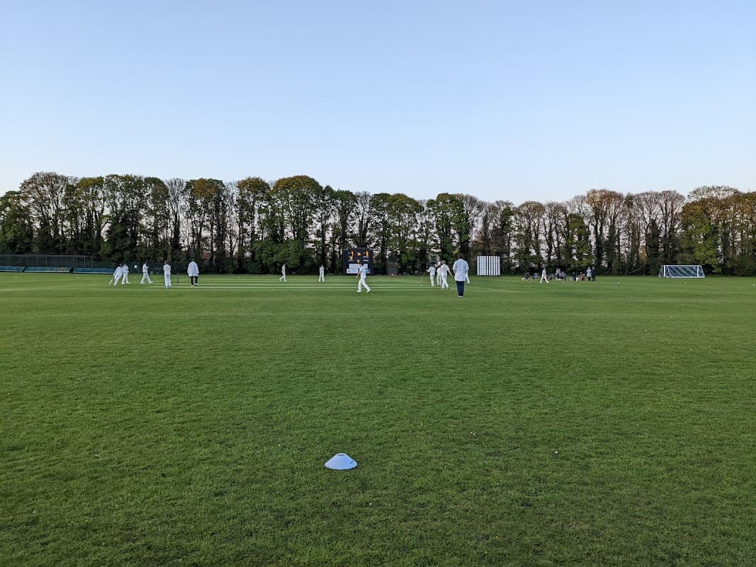 Cricket match in progress on a lush green field surrounded by trees under a clear blue sky.