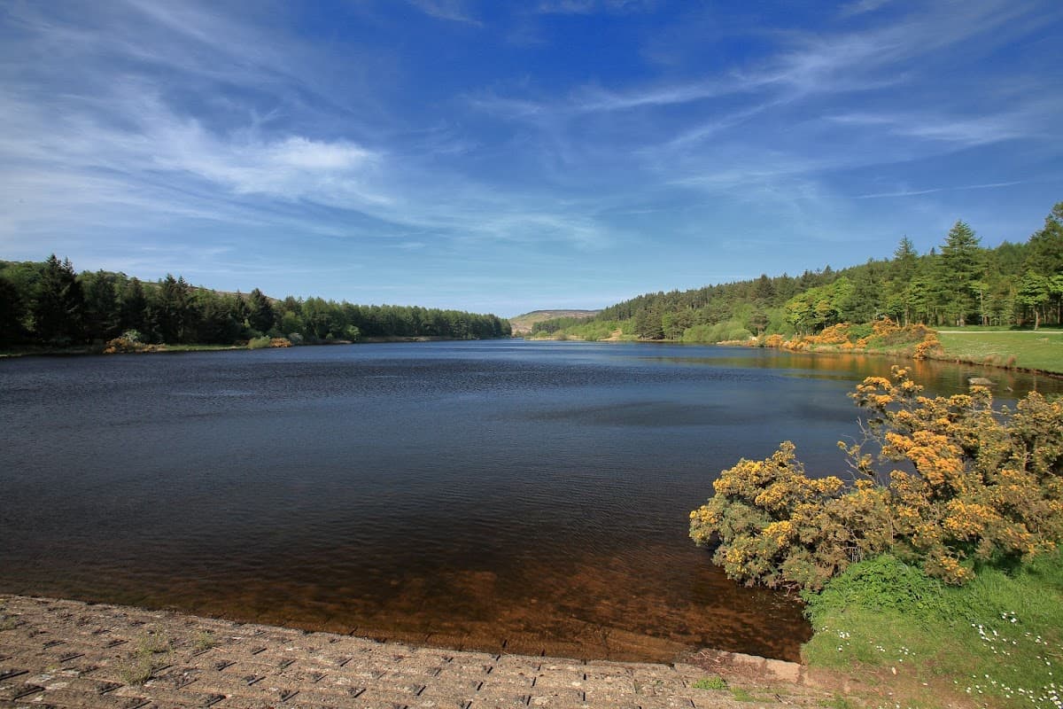 Serene reservoir surrounded by lush greenery and trees under a clear blue sky.