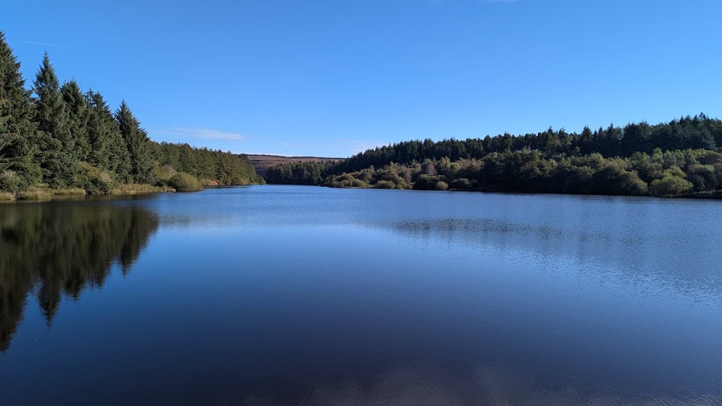 Serene lake reflecting trees under a clear blue sky, surrounded by lush greenery in Osmotherley, Yorkshire.