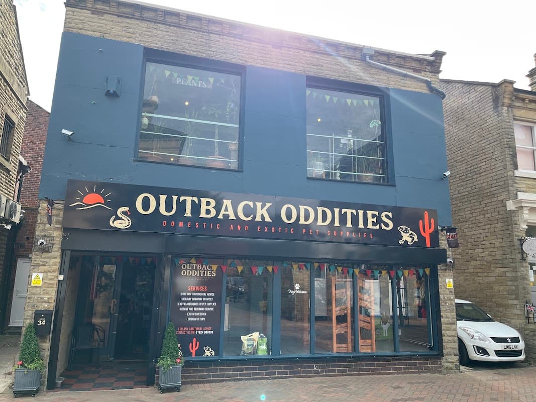 Outback Oddities - Pet Shops in ossett