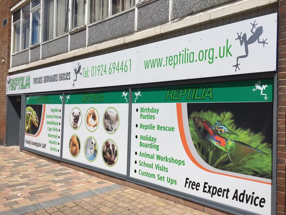 Reptilia Realm - Pet Shops in ossett