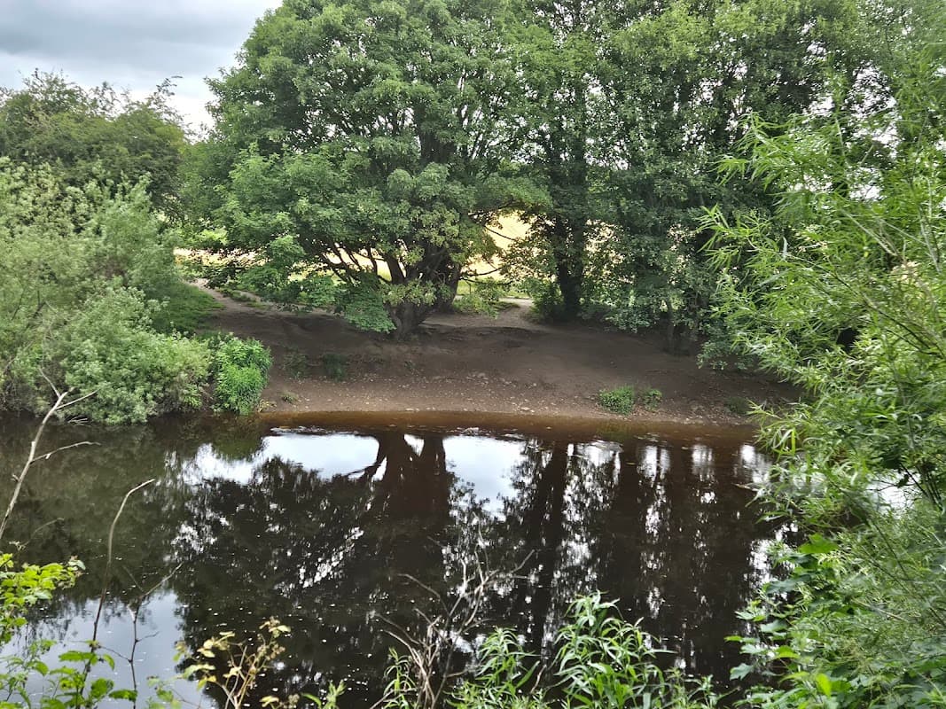 Gallows Hill Nature Reserve - Nature Reserves in otley