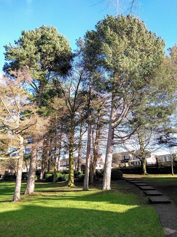 Tall trees and grassy areas in Coronation Park Playground, with a path leading through the greenery.