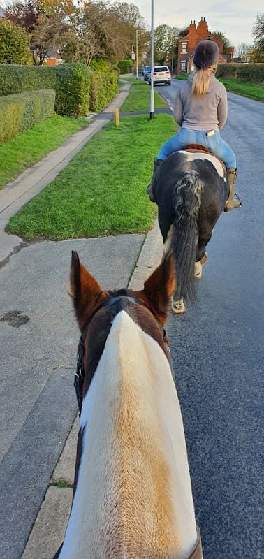 Two riders on horseback along a tree-lined road, with greenery and parked cars visible in the background.