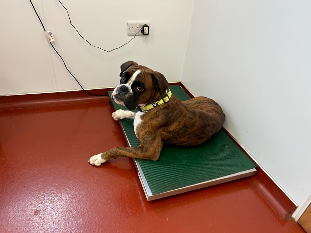 Briar Vets - Vets in penistone