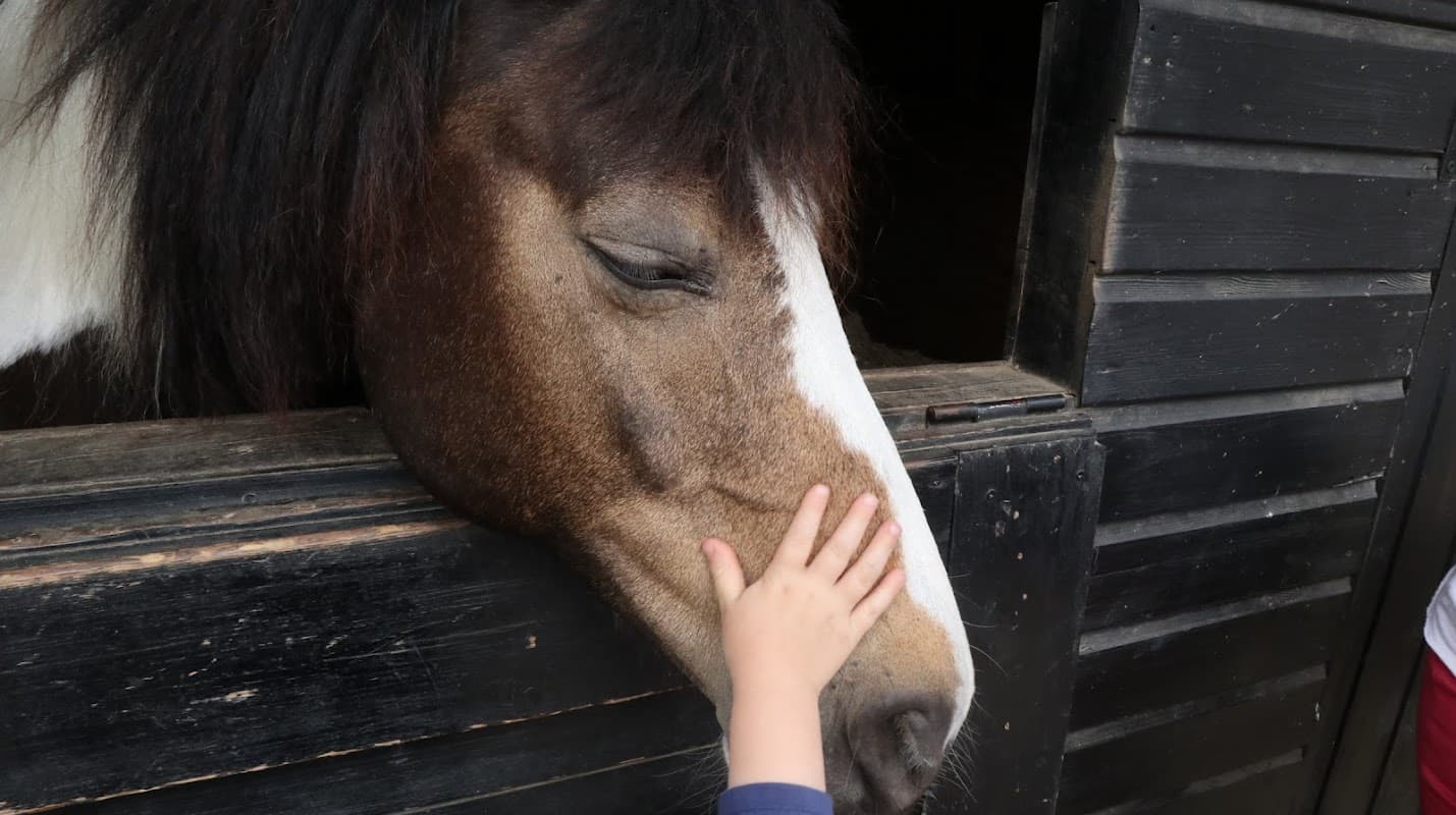 Churchfield Equine Clinic - Vets in penistone