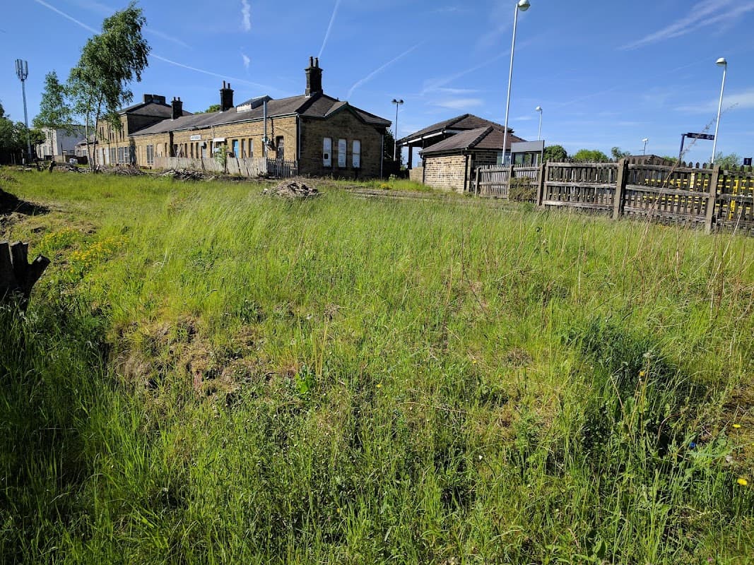 Wildflower reserve with overgrown grass, stone buildings, and blue sky at Penistone Station, Yorkshire.