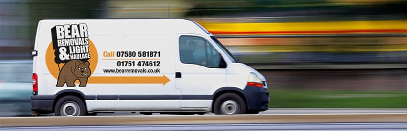 Bear Removals - Removal Companies in pickering