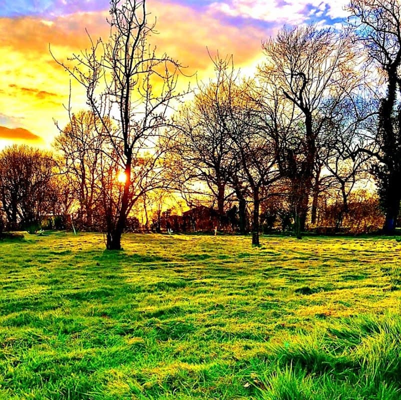 Brigham Park Farm Holidays - Campsite in pickering