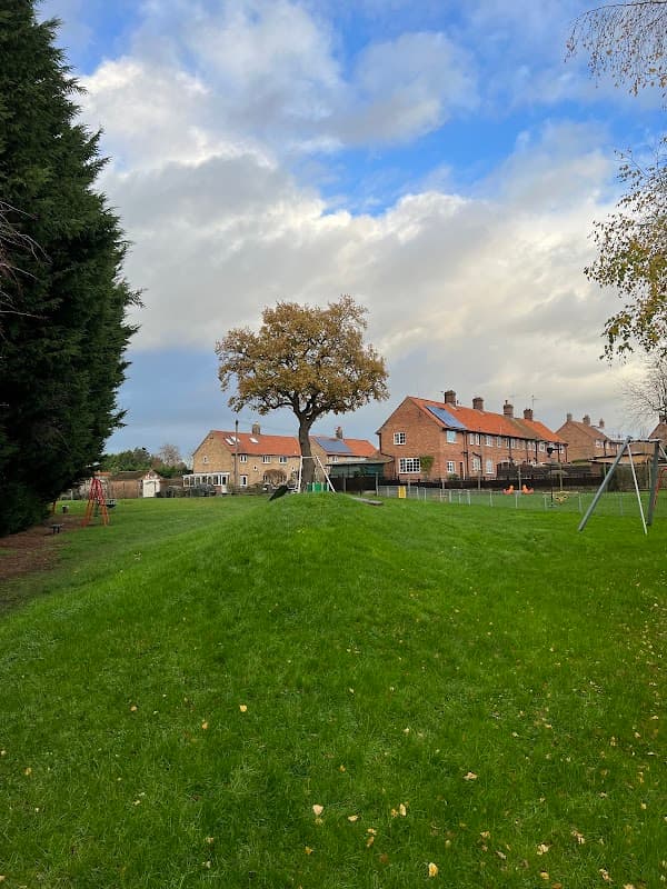 Play area with green grass, a large tree, swings, and houses in the background under a cloudy sky.