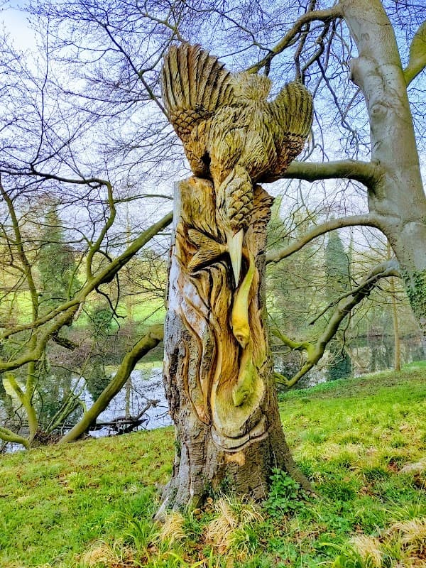 Wooden sculpture of a bird perched on a tree stump, surrounded by lush greenery and a pond in the background.