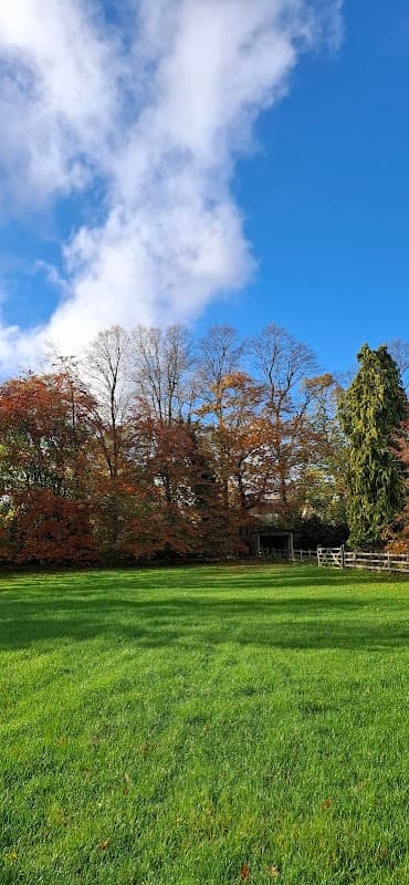 Lush green field with colorful autumn trees under a clear blue sky at Ridgefield Nursery, Plompton, Yorkshire.