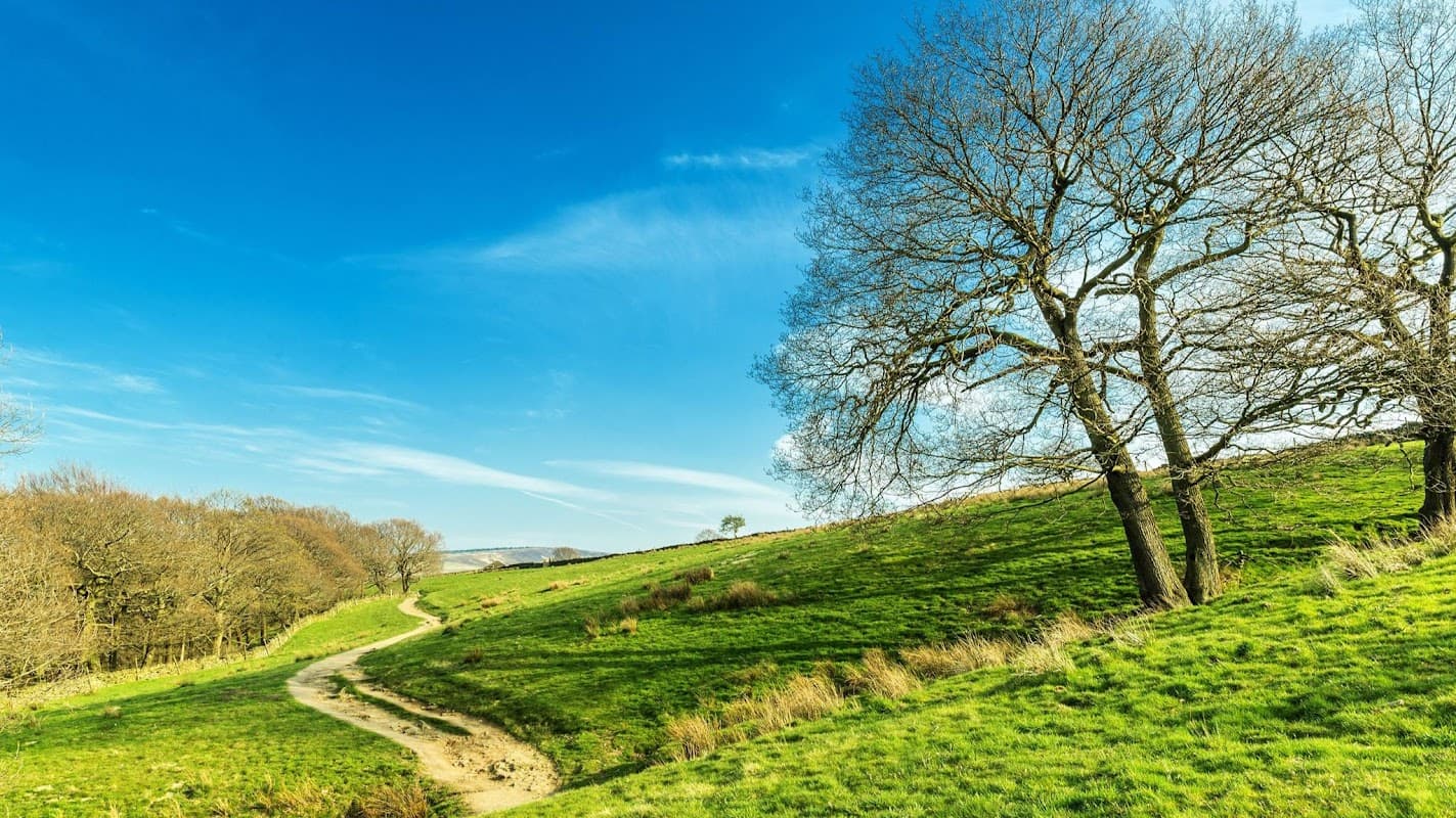 Boultons - Estate Agents in pontefract