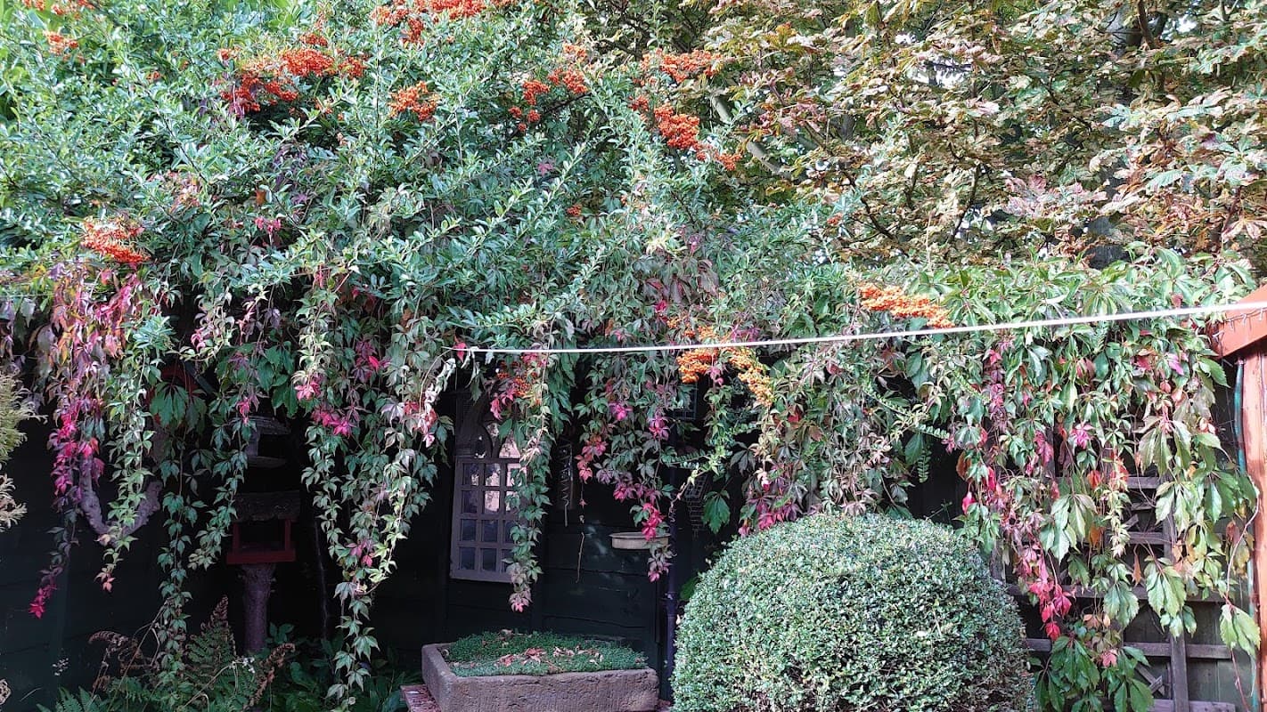 Lush greenery with vibrant orange and pink foliage draping over a wooden structure in a serene garden setting.