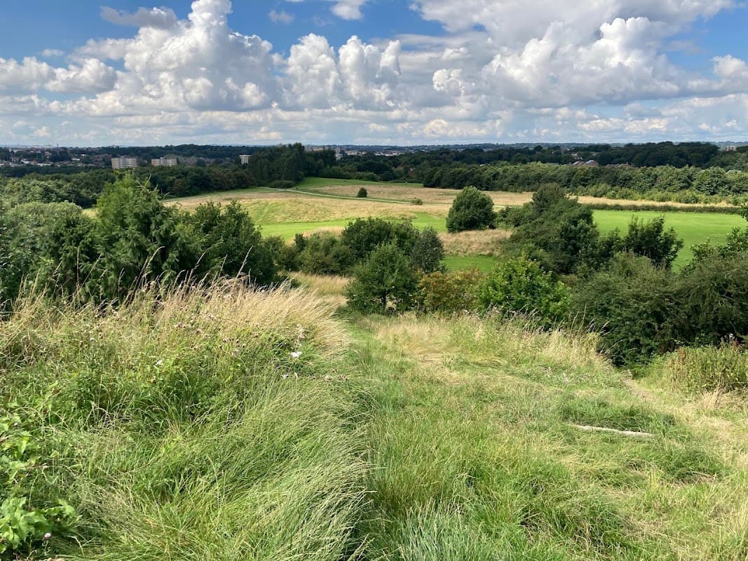 Lush green fields and trees stretch across the landscape under a bright blue sky with fluffy white clouds.