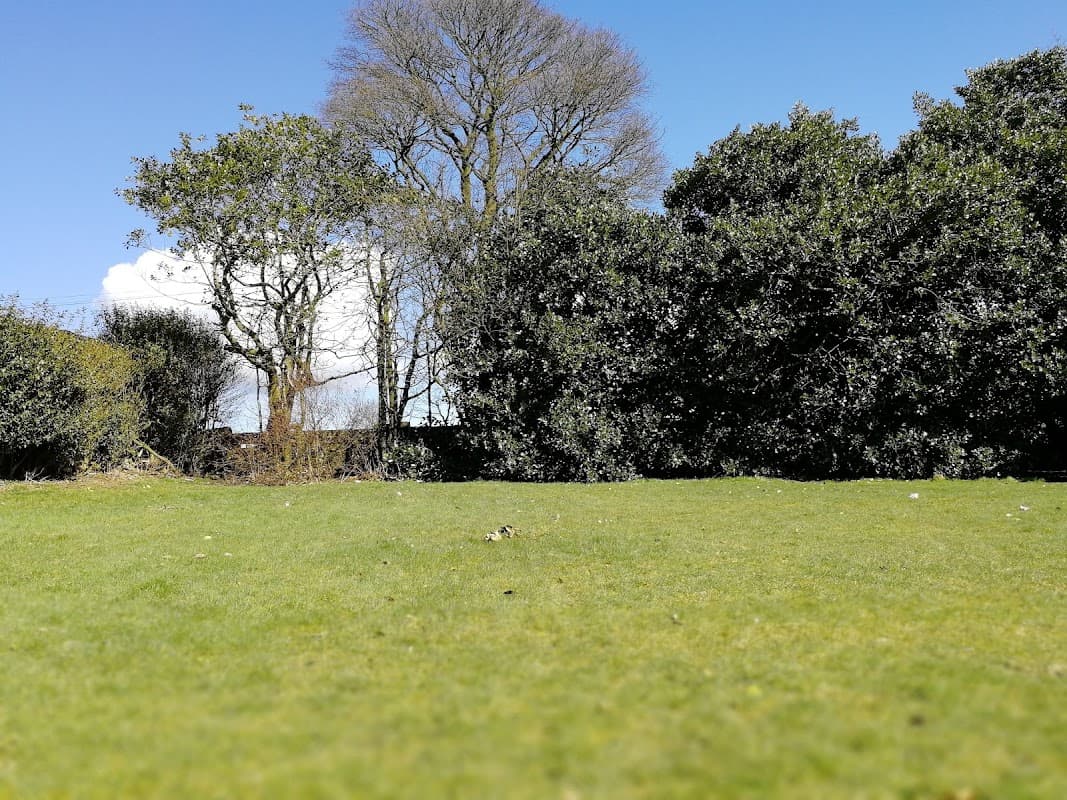 Lush green grass with scattered trees and shrubs under a clear blue sky at Russell Hall Park, Queensbury.
