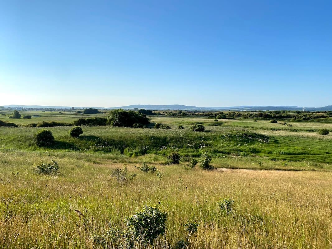 Coatham Marsh LNR - Nature Reserves in redcar