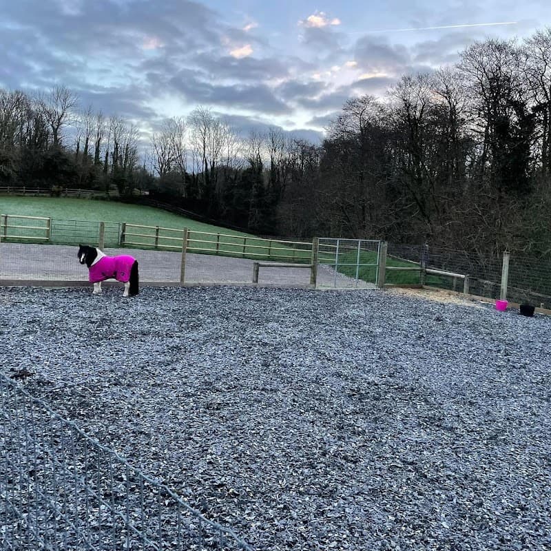 Foleys Equestrian Ltd - Sports Shops in redcar