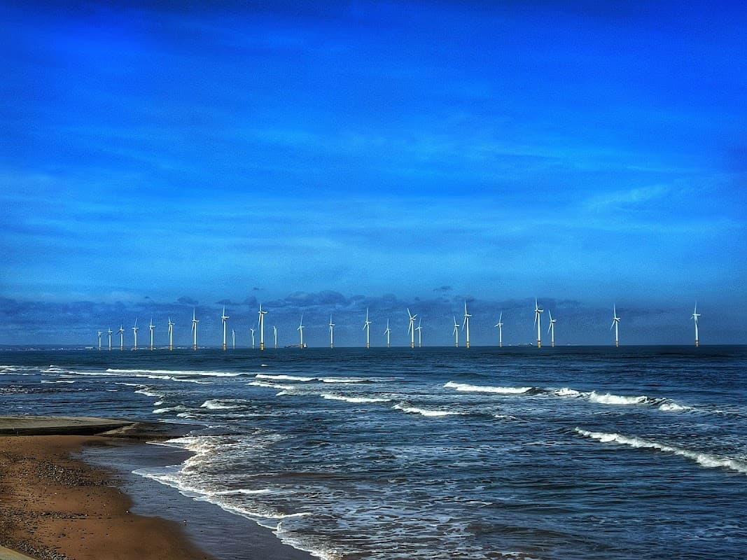 Waves gently lapping at the shore, with a line of wind turbines visible on the horizon under a blue sky.