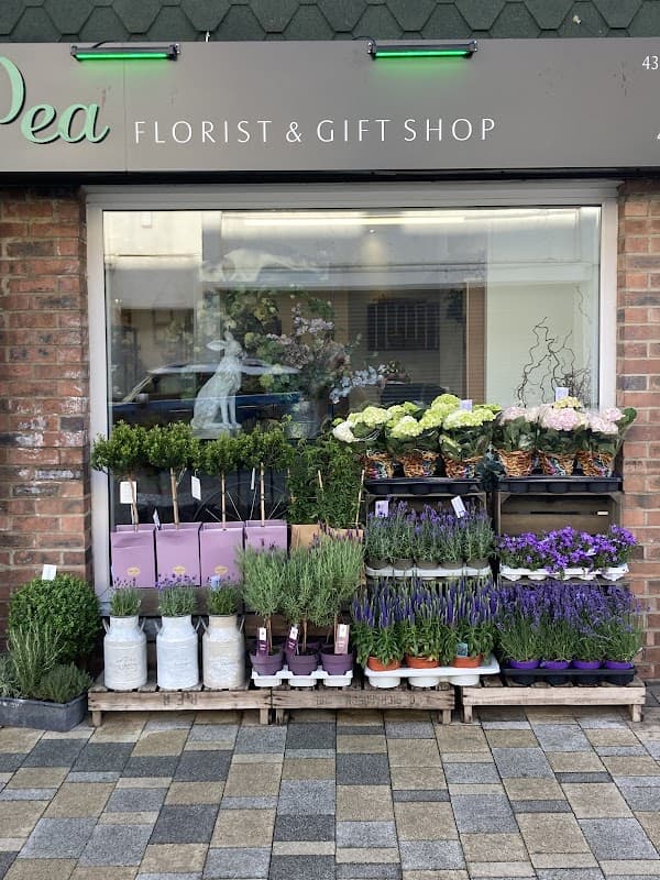 Sweet pea florist - Florists in redcar