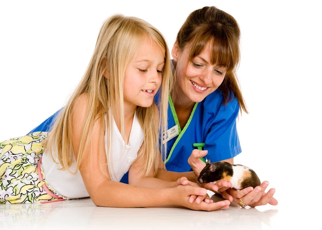 White Cross Vets - Vets in redcar