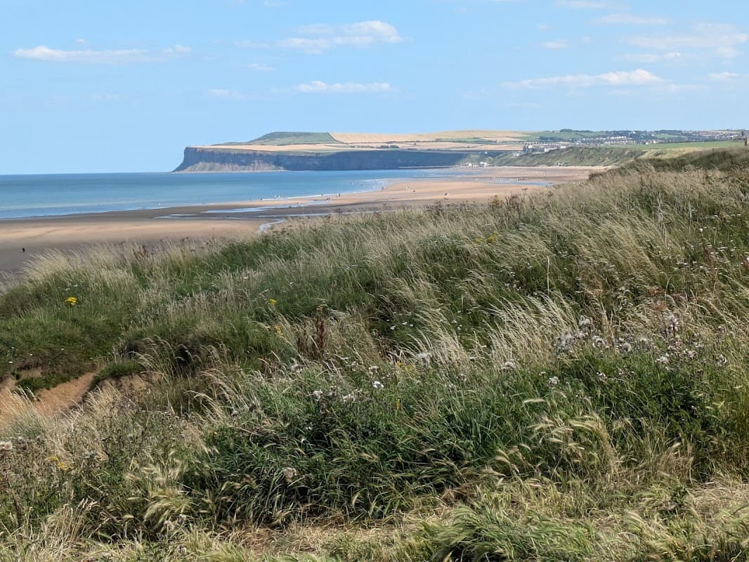 Coastal view with sandy beach, cliffs in the distance, and grassy foreground under a clear blue sky.