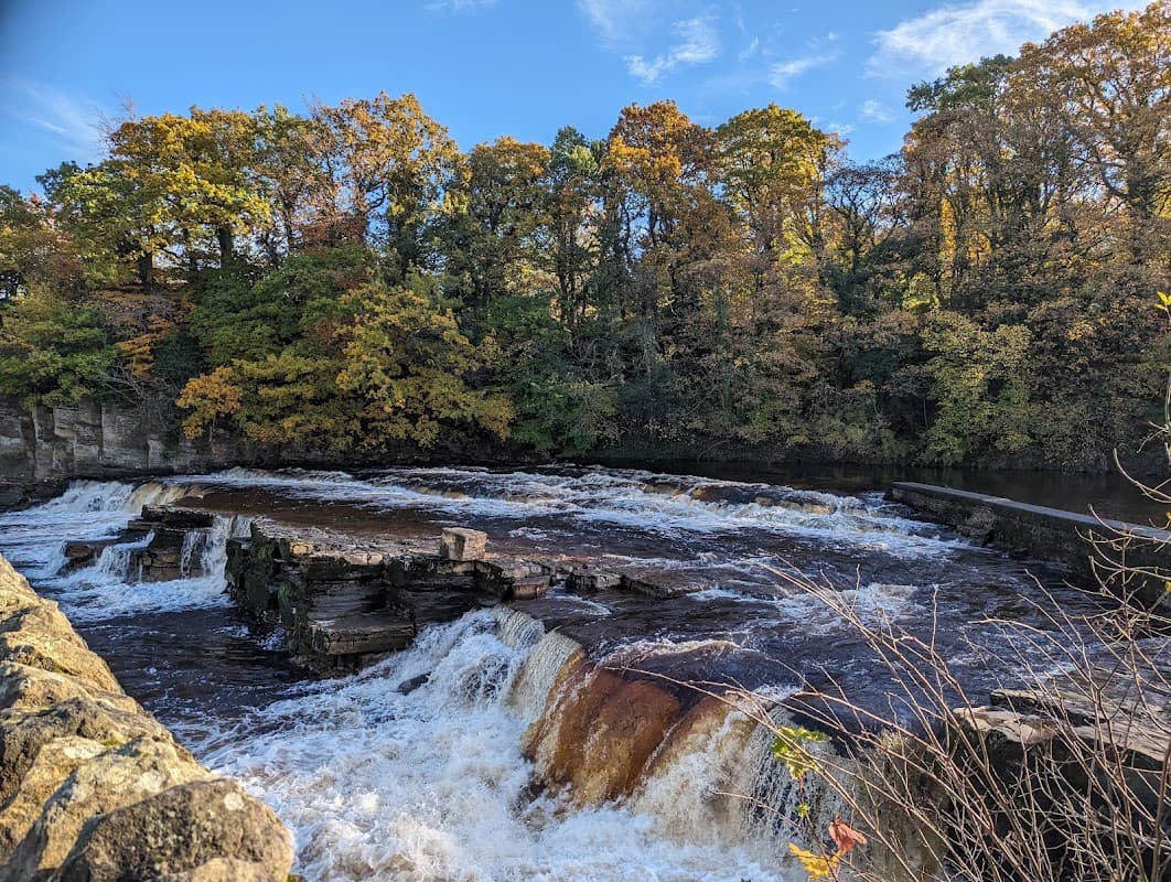 Public toilets near a scenic waterfall surrounded by autumn-colored trees in Richmond, Yorkshire.