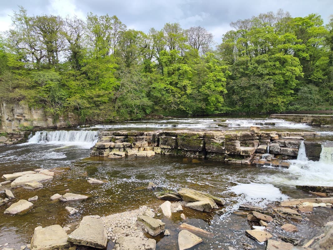 Richmond Falls features cascading water over rocky ledges, surrounded by lush green trees and a serene riverbank.