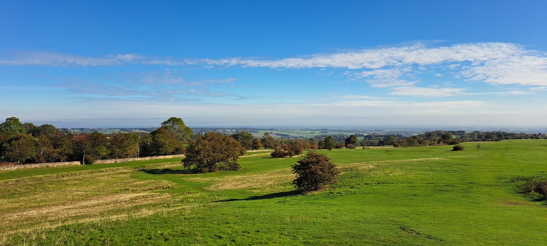 Lush green fields with scattered trees under a clear blue sky at Richmond Racecourse Grandstand.